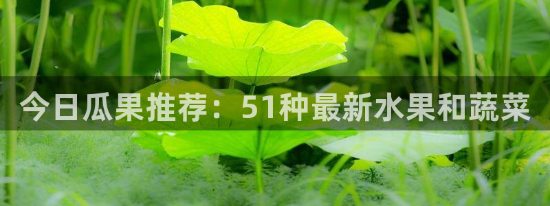 今日瓜果推荐：51种最新水果和蔬菜