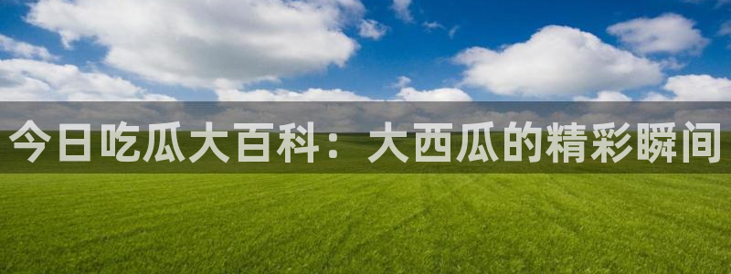 今日吃瓜大百科：大西瓜的精彩瞬间